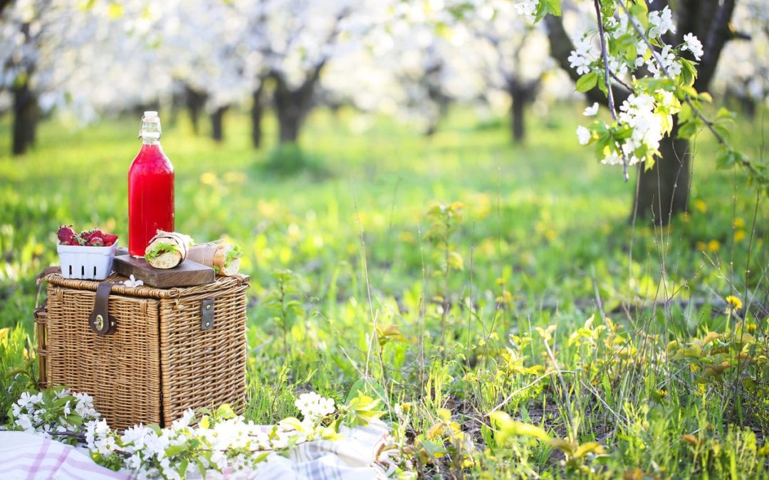 How to Pack the Perfect Picnic